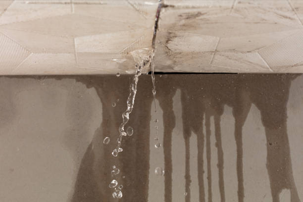 Professional Structural Drying technician working in Simi Valley, CA